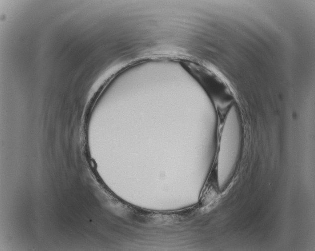 X0000085071469200704021358