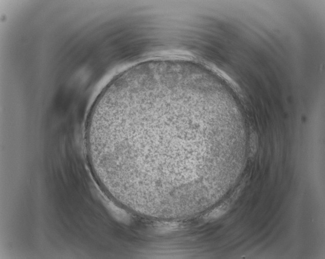 X0000085071470200704021358