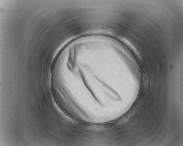 X0000085071476200704021358