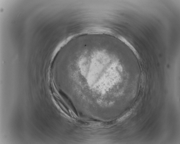 X0000085071477200704021358