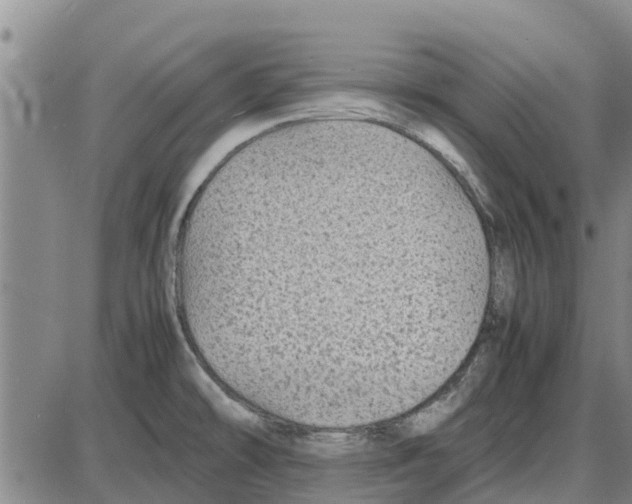 X0000085071478200704021358