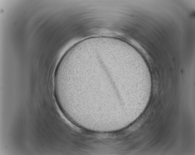 X0000085071479200704021358