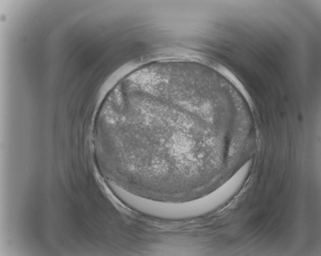 X0000085071485200704021358