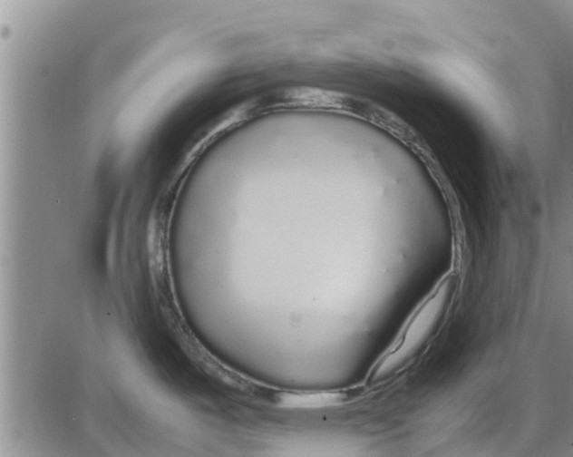 X0000085071487200704021358