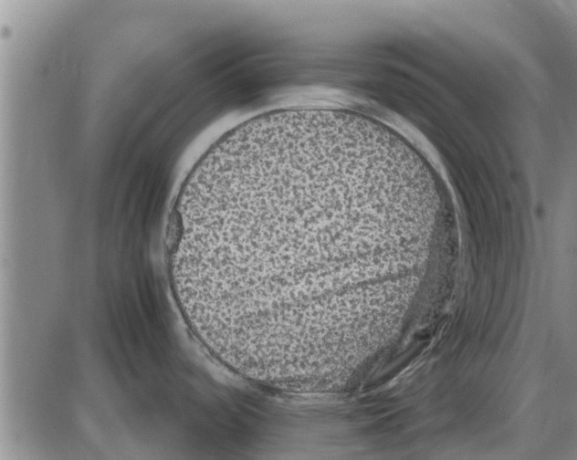 X0000085071488200704021358