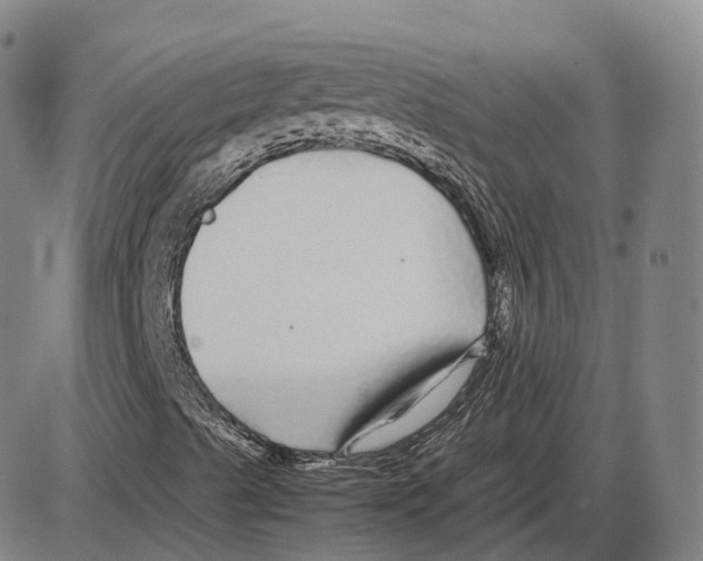 X0000085071489200704021357