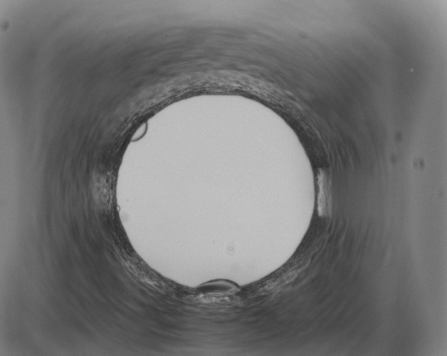 X0000085071491200704021357