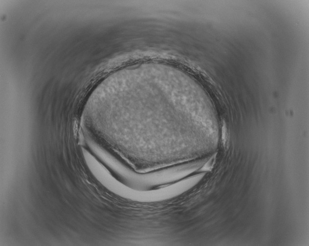 X0000085071492200704021357