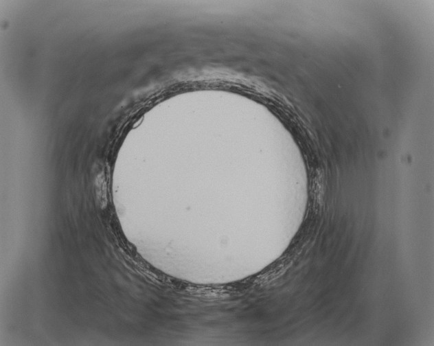 X0000085071493200704021357