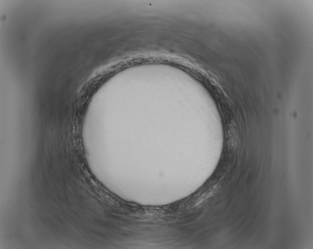 X0000085071494200704021357