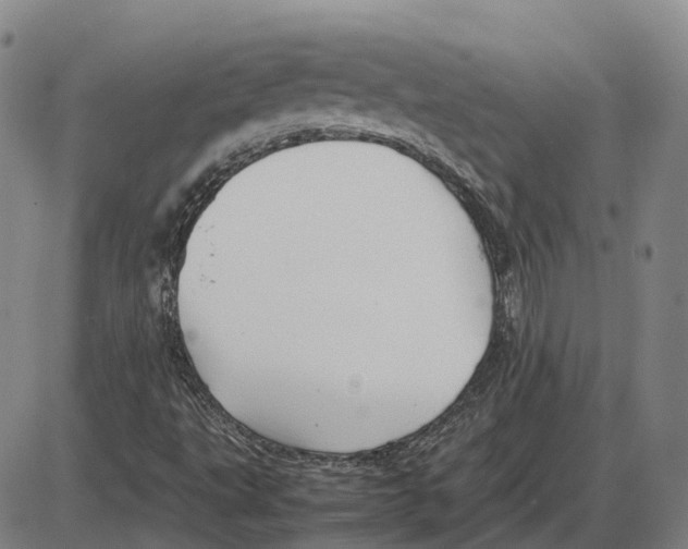 X0000085071495200704021357