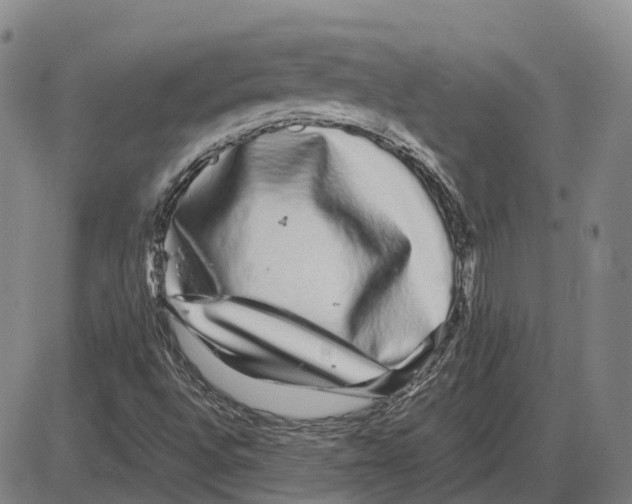 X0000085071496200704021357