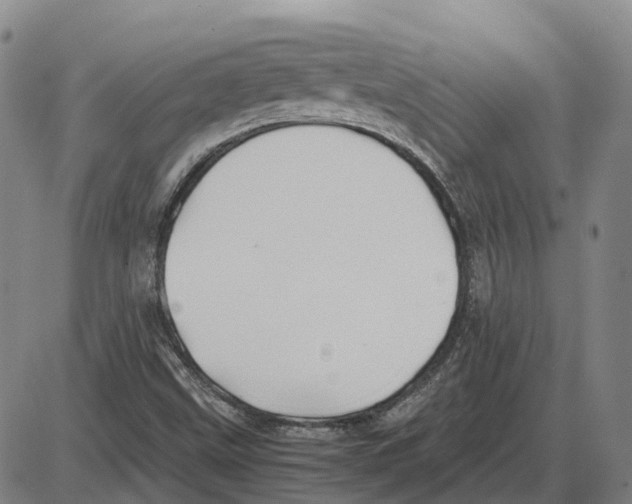 X0000085071499200704021357