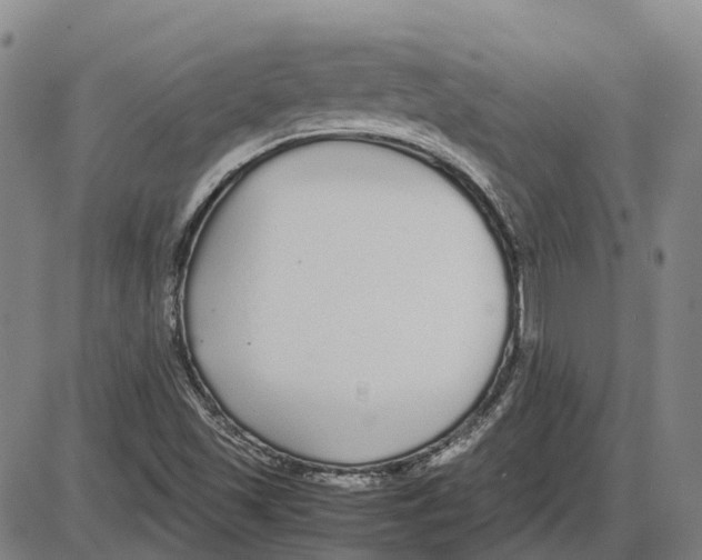 X0000085071501200704021357