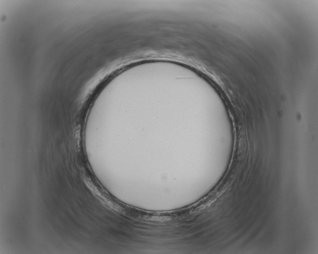 X0000085071503200704021357