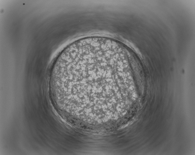 X0000085071504200704021357