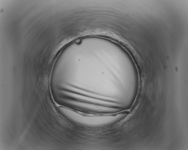 X0000085071505200704021357