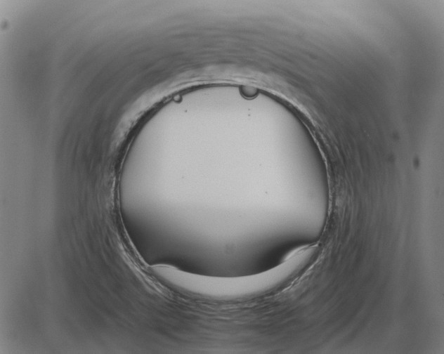 X0000085071507200704021357