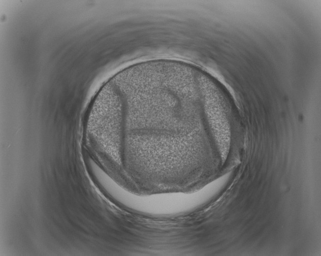 X0000085071508200704021357