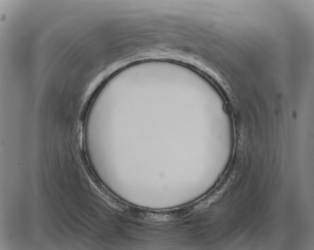 X0000085071509200704021357