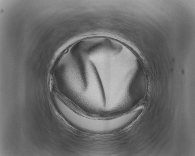 X0000085071510200704021357