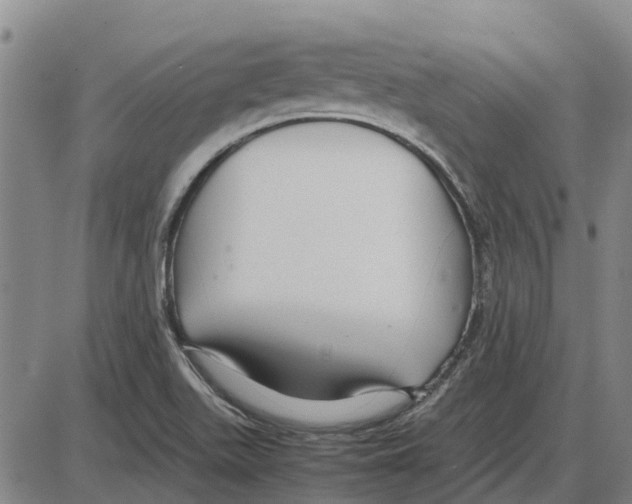 X0000085071511200704021357