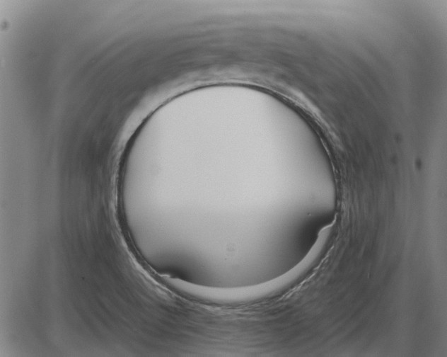 X0000085071512200704021357