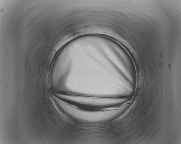 X0000085071513200704021357