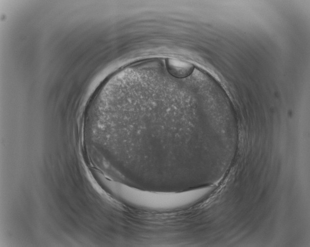 X0000085071515200704021357