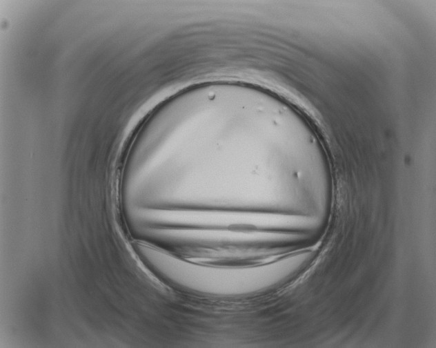 X0000085071517200704021357