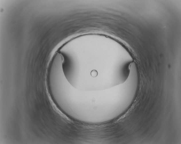 X0000085071518200704021357