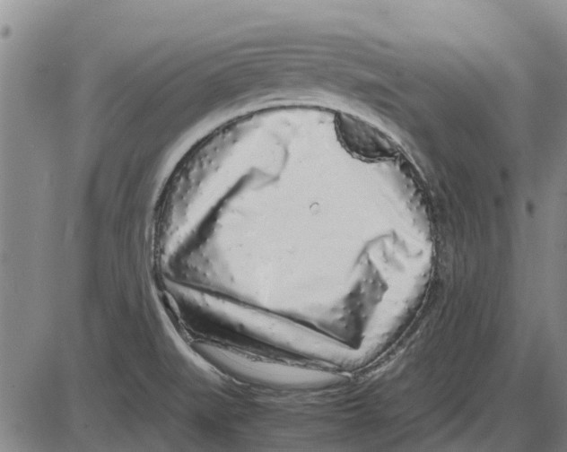 X0000085071519200704021357