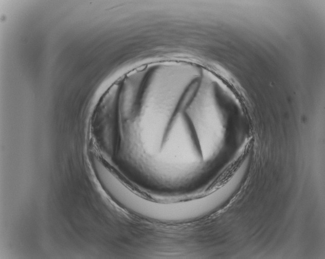 X0000085071520200704021357