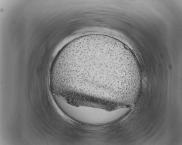 X0000085071523200704021357