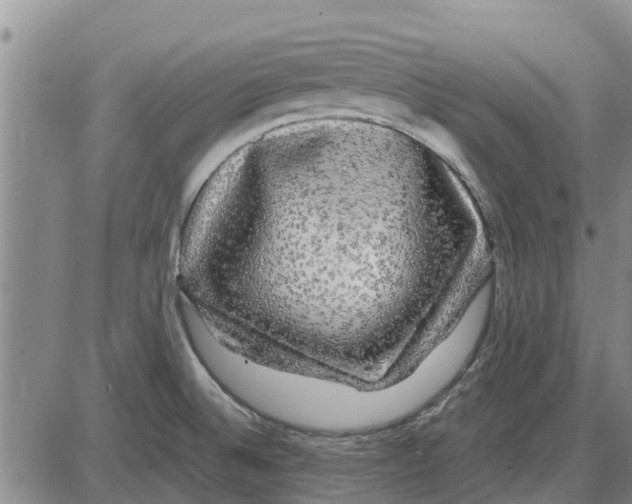 X0000085071524200704021357