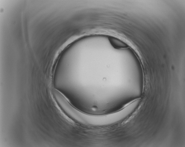 X0000085071525200704021357