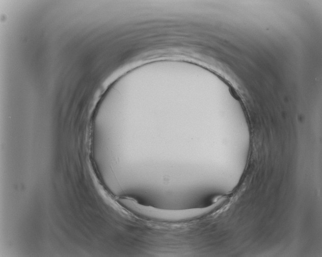 X0000085071526200704021357