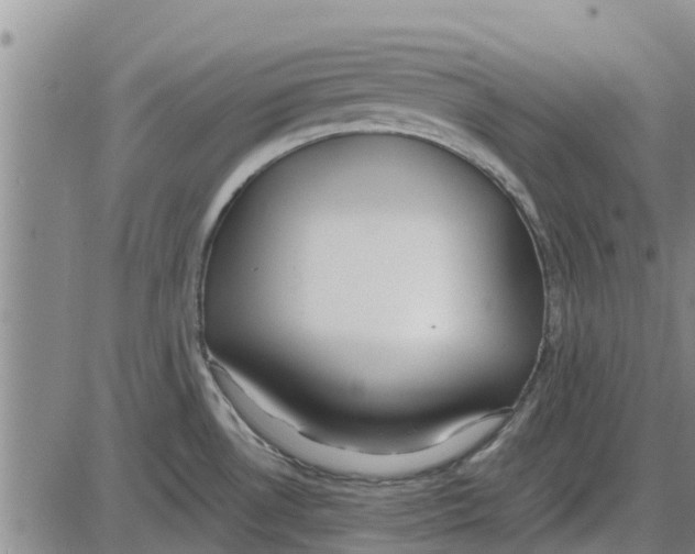 X0000085071530200704021357