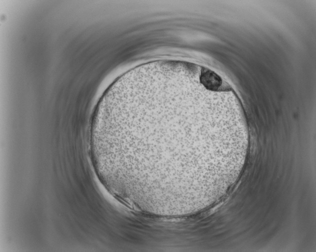 X0000085071531200704021357