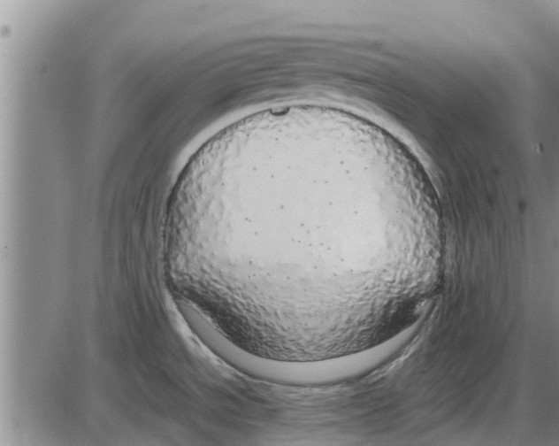 X0000085071534200704021358