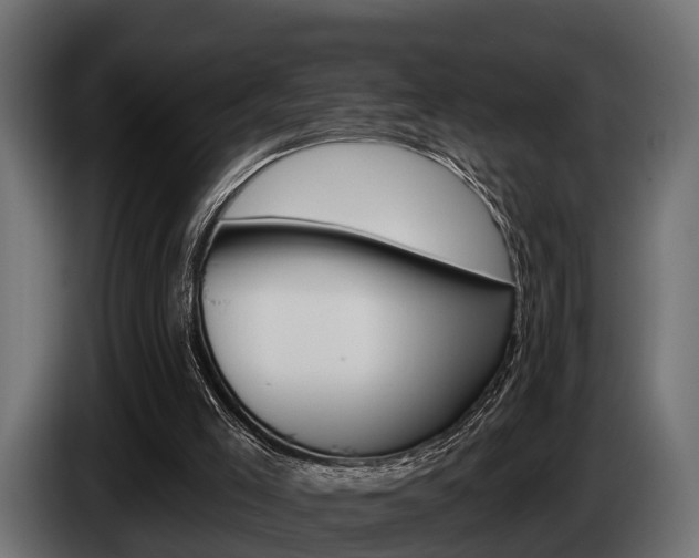 X0000085080005200703051118