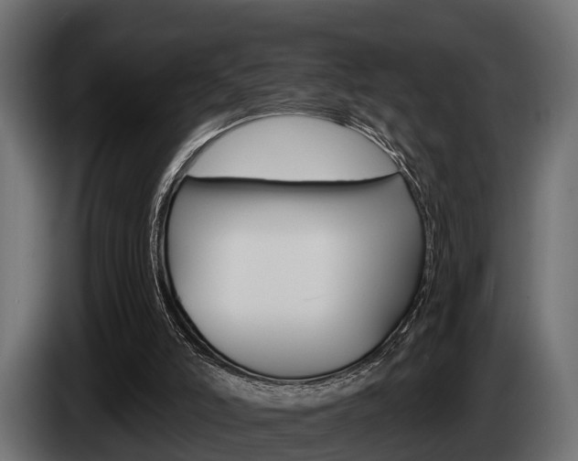 X0000085080006200703051118