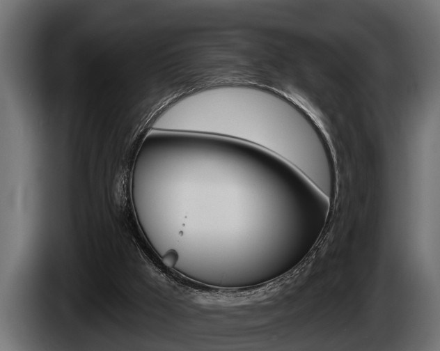 X0000085080009200703051118