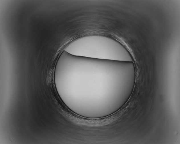 X0000085080010200703051118