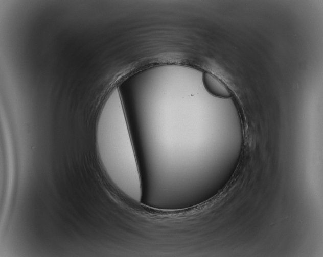 X0000085080013200703051117