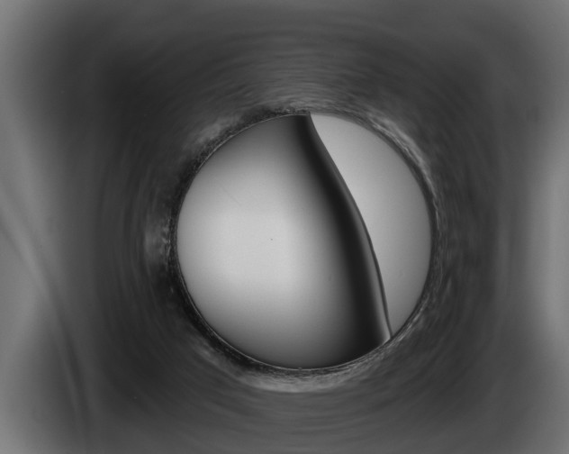 X0000085080017200703051117