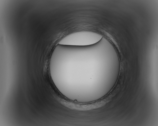 X0000085080018200703051117
