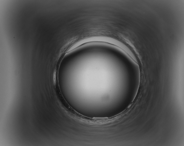 X0000085080019200703051117