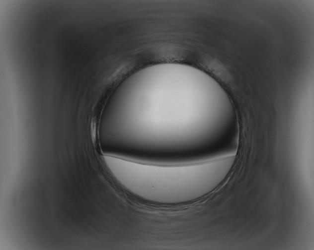 X0000085080021200703051117