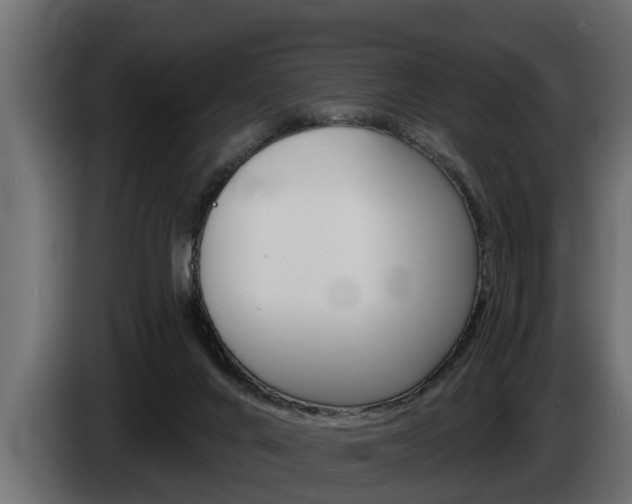 X0000085080024200703051117
